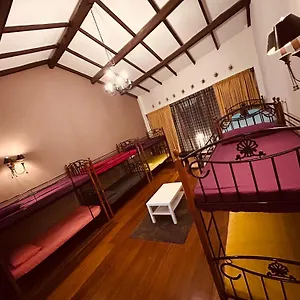 https://hostel-new-great-shanghai-female.georgetown-hotels.org